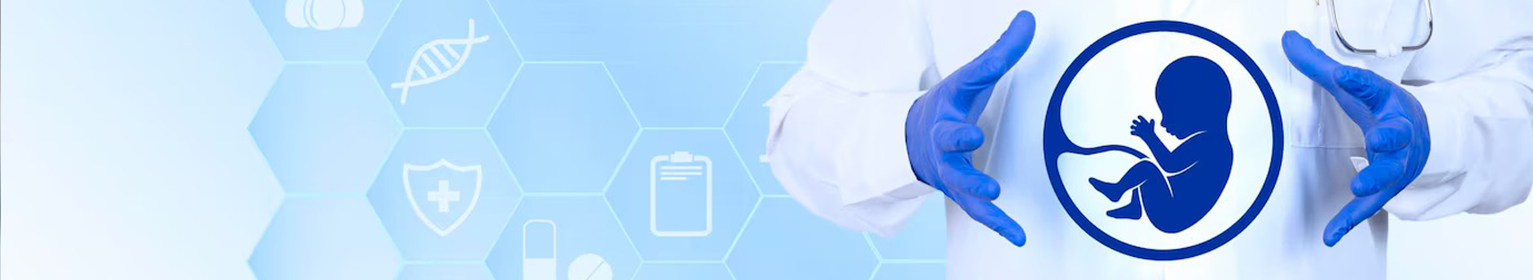 banner img