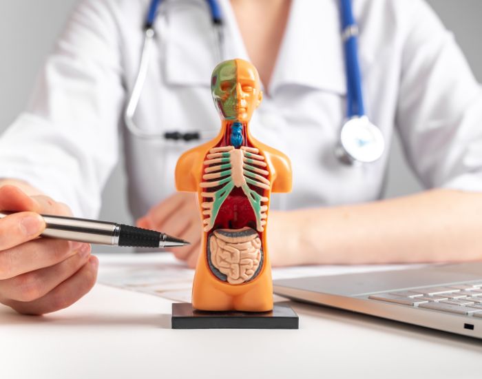 Internal Medicine