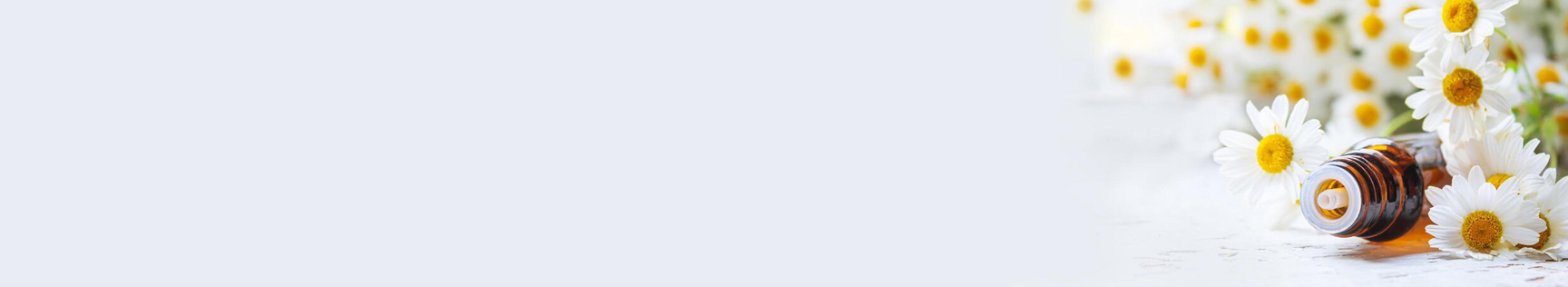 banner img